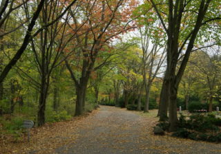 Parkfriedhof in Britz