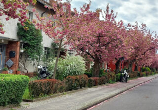 Onkel-Bräsig-Straße