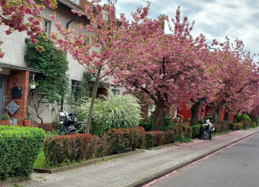 Onkel-Bräsig-Straße