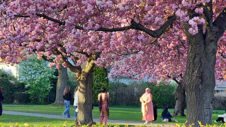 Foto-Shooting zum „Rosa-Pink-Magenta Fashion-Day©“ im Lilienthalpark in Lichterfelde